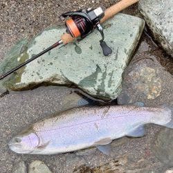 大物大漁となるはずが… ～天竜川ルアーフライ専用区～